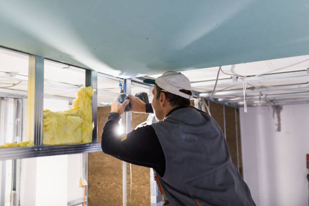 Best Insulation Repair Services  in Lovettsville, VA