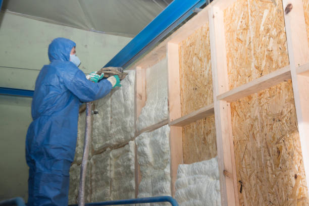 Best Soundproof Insulation Installation  in Lovettsville, VA