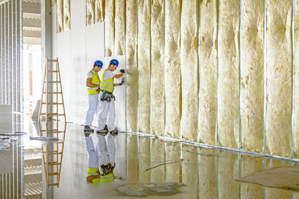 Best Affordable Insulation Services  in Lovettsville, VA